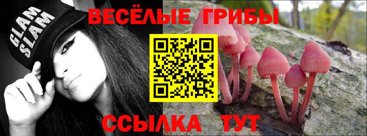 Чебаркуль  Псилоцибиновые грибы мухоморы  купить  цена  Вход с VPN 